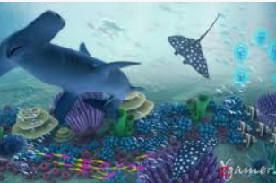 开元国际67ky正式版